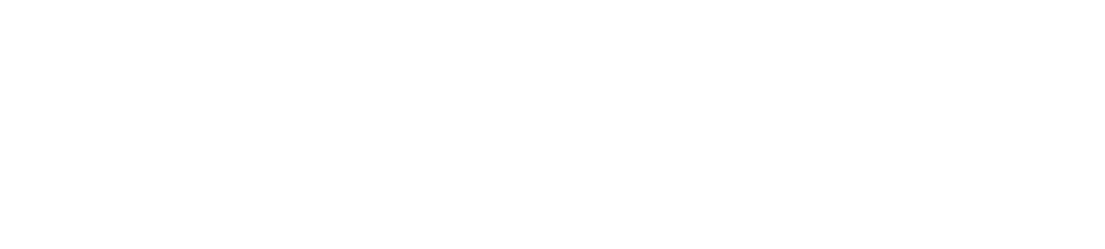 The Steele Group Logo